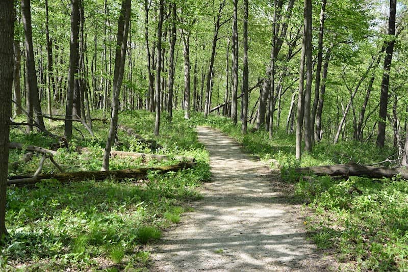 Richard Young Forest Preserve - Image 2