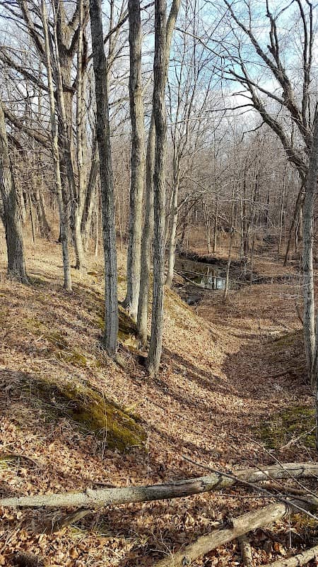 Richard Young Forest Preserve - Image 1