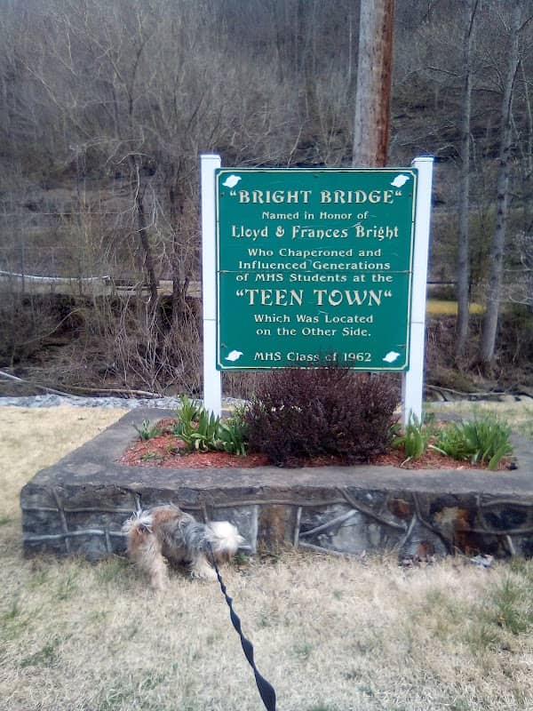 Bright Bridge Park - Image 2