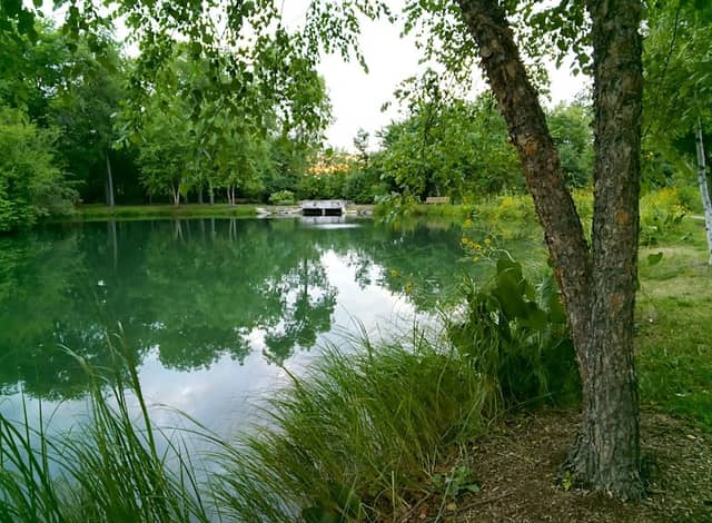 Spring Lake Park - Image 2