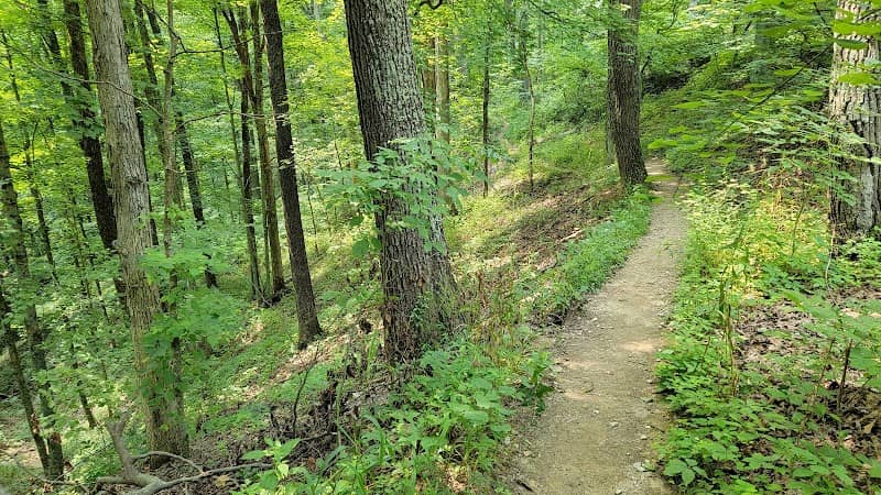 You Can Trail - Image 1