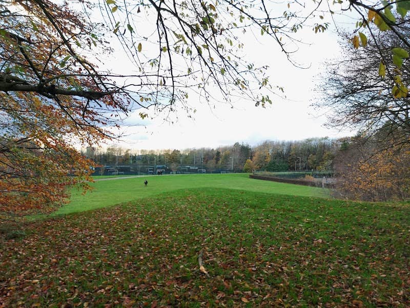 Bowthorpe Park - Image 1