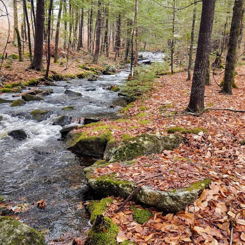 Sander's Hill Trailhead - Belgrade Regional Conservation Alliance - Image 1