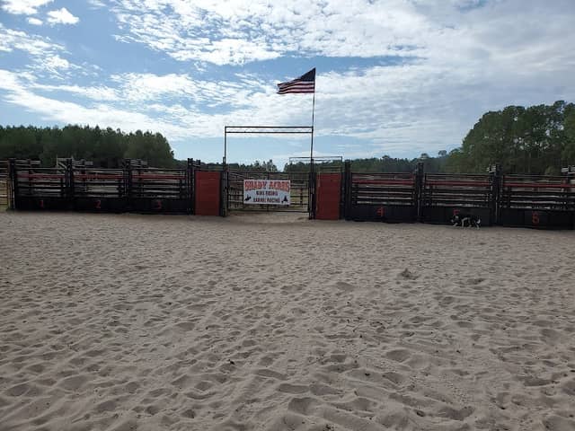 Shady Acres Rodeo - Image 1