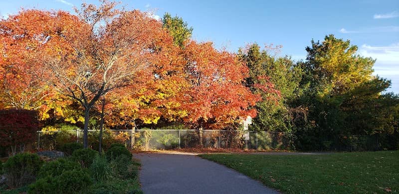 Margate Park - Image 2
