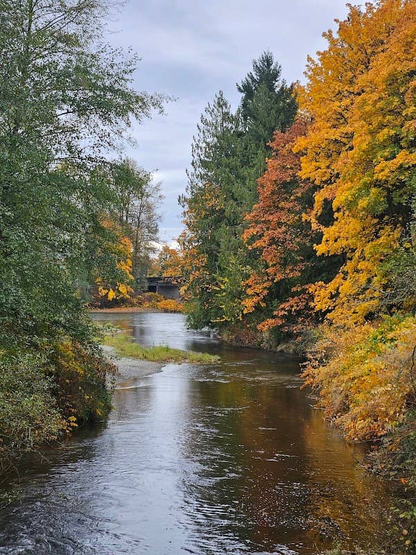 Lewis Street Park - Image 1