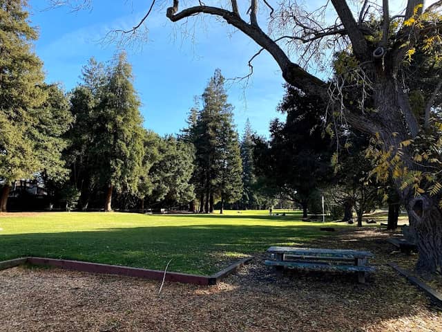 Cornelis Bol Park - Image 2