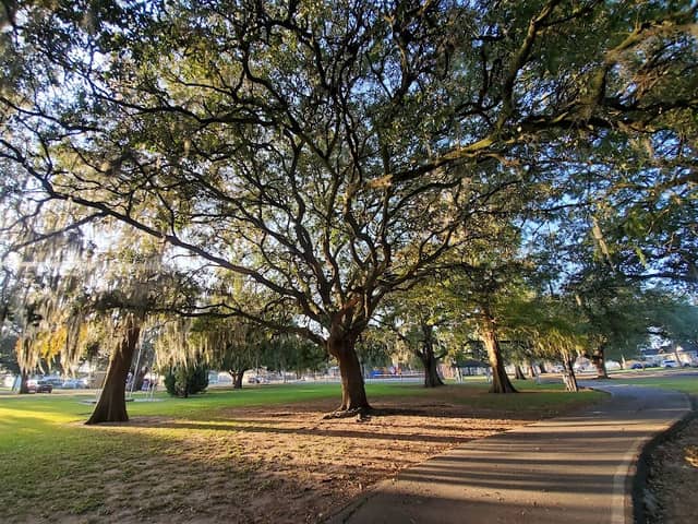 Westwego Park - Image 1