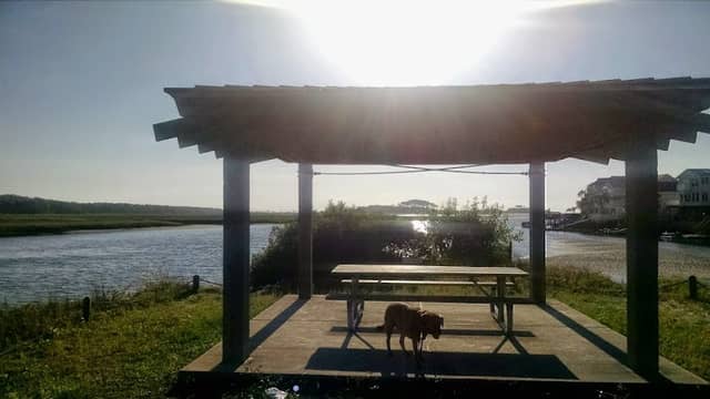 Heritage Shores Nature Preserve Picnic area - Image 1
