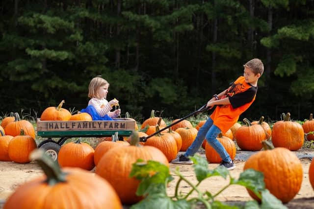 Hall Family Farm - Image 1