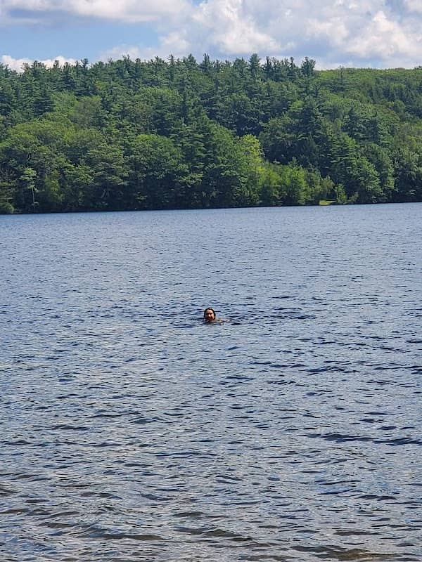Shattuck Public Beach - Image 2