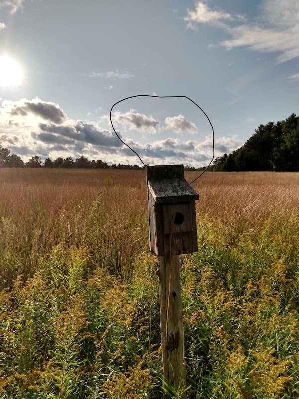 Waldron Fen Nature Preserve - Image 2