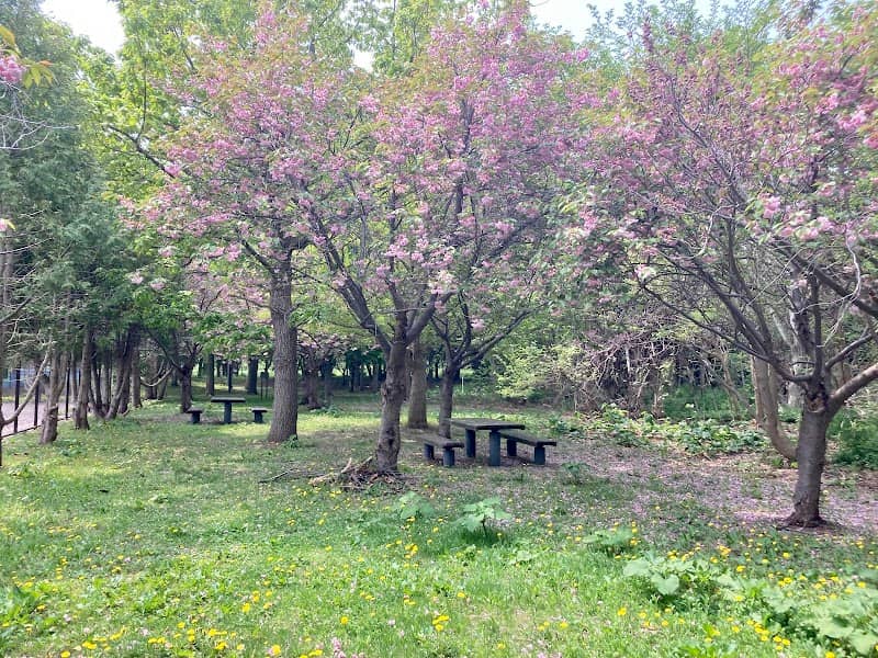 Hoshioki West Park - Image 1