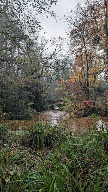 Bersham Waterfall - Image 2