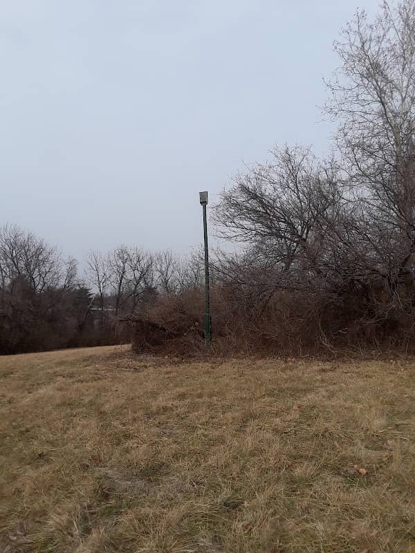 Park - Image 2