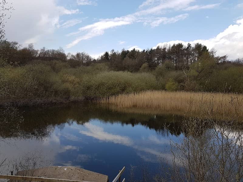 Ogston Carr - Image 2