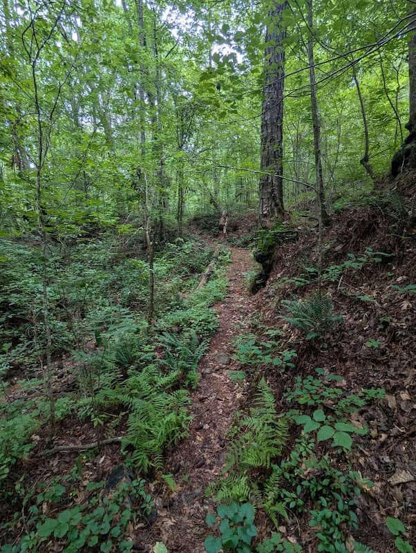 High Point Trailhead Pinhoti Trail - Image 1