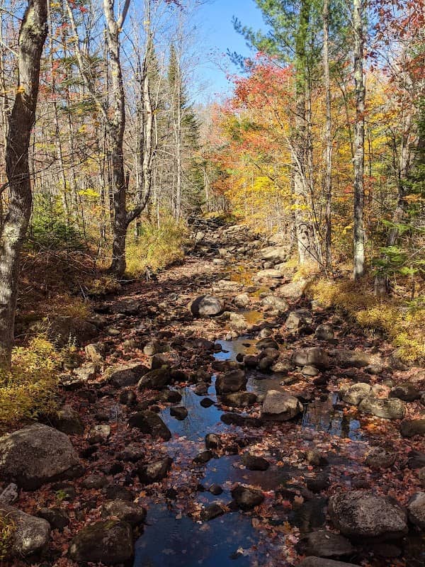 Gile State Forest - Image 1