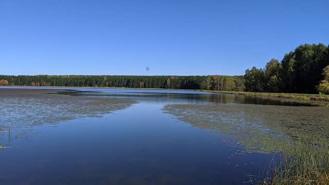 Allen Lake - Image 1