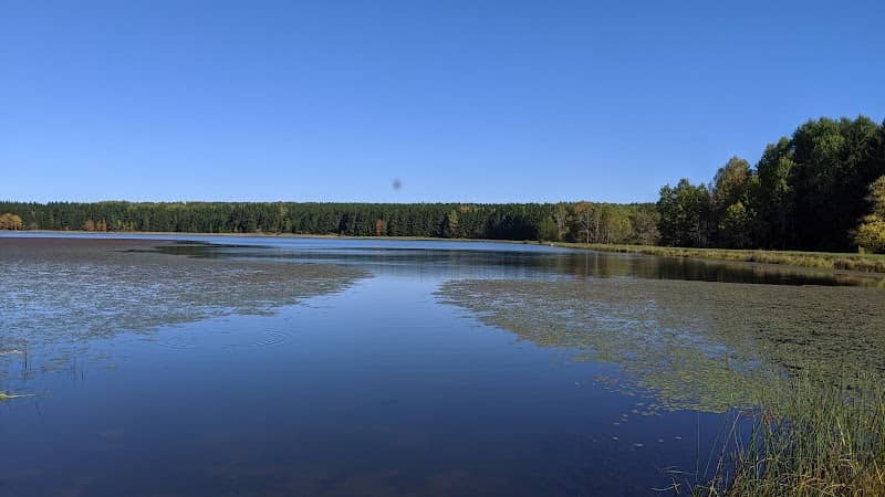 Allen Lake - Image 1