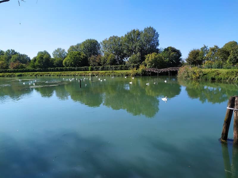 Parco - Image 2