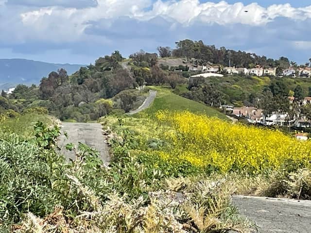 Knob Hill - Image 2
