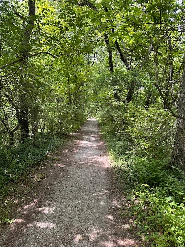 Wilderness Park - Image 1