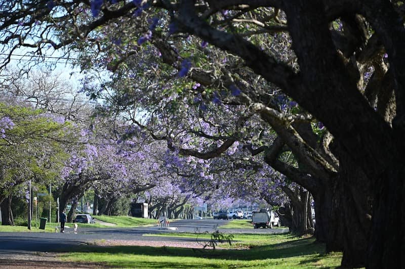 See Park - Image 1