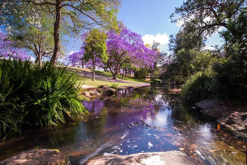 See Park - Image 2