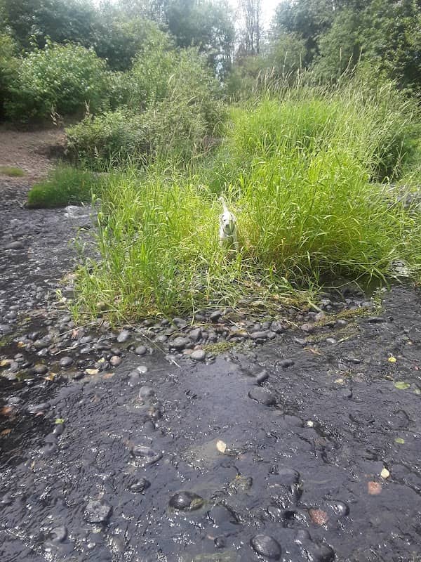 Wilbur Parkins Park - Image 1