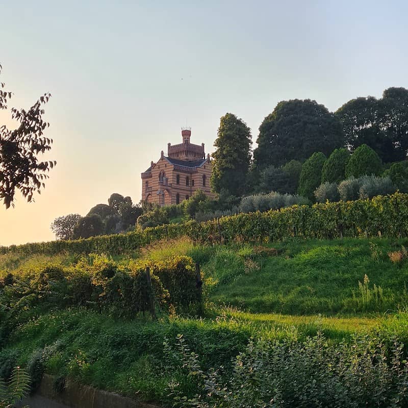 Castello Bonomi Tenute In Franciacorta - Image 3