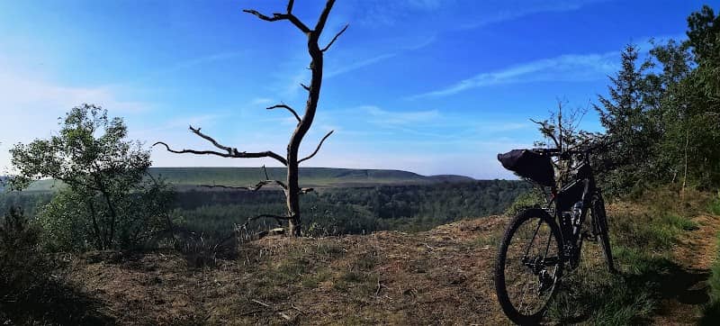 Cropton Forest - Image 1