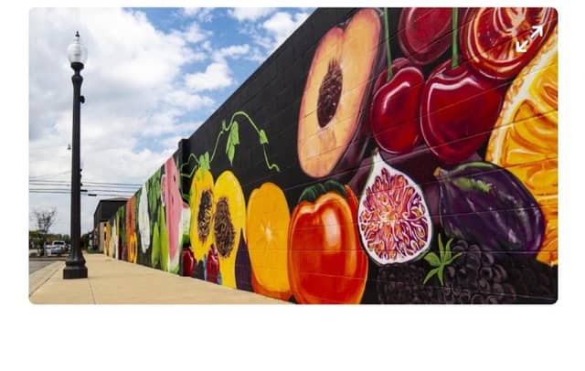 Flourishing Florence Mural - Image 2