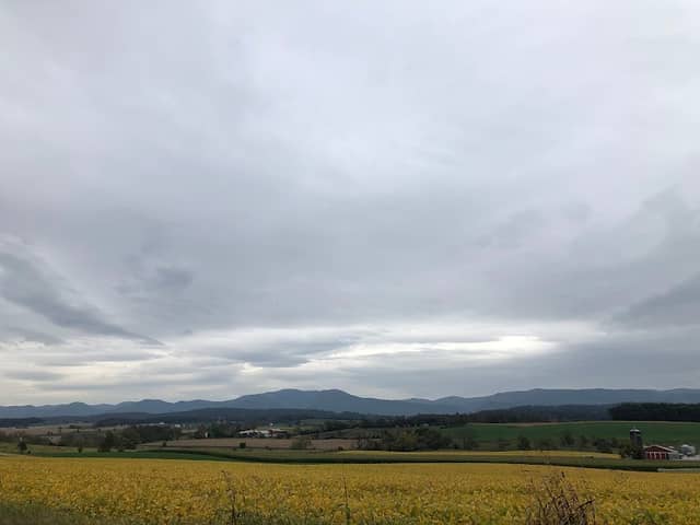 Piedmont Battlefield - Image 2