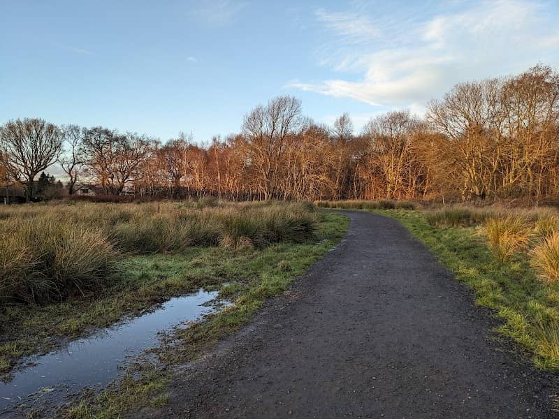 Lenzie Moss - Image 1