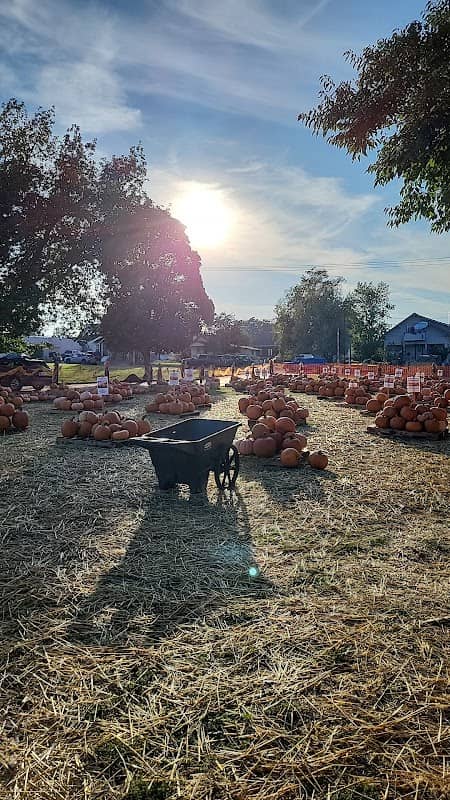L-C Valley Pumpkin Patch - Image 2