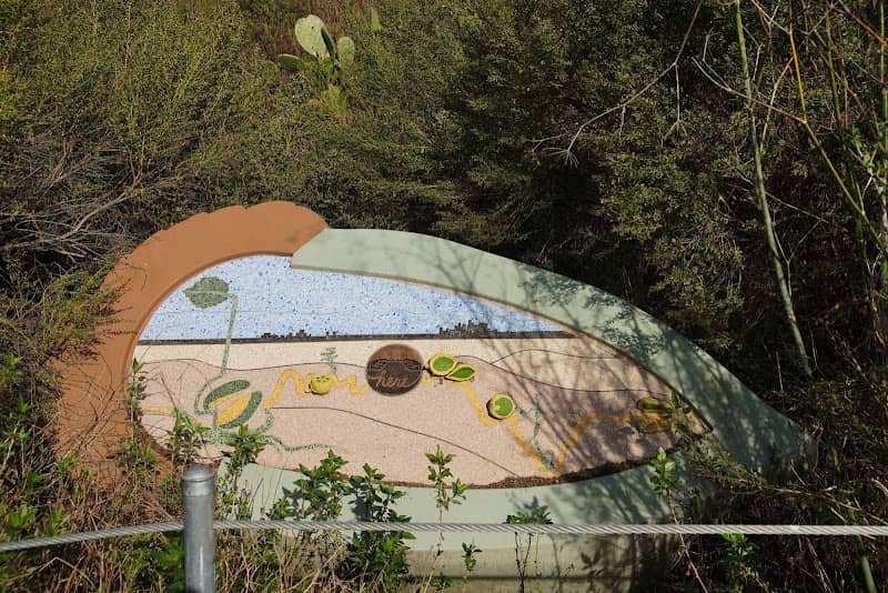 Citizen Seeds Site 5 - Image 3