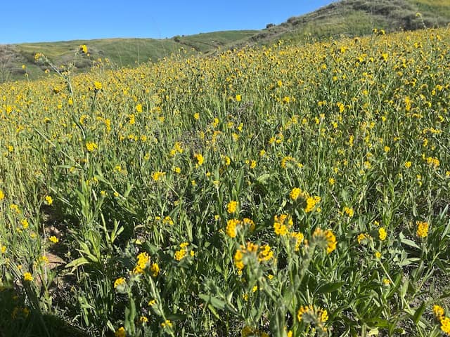 Thunderbird Trail - Image 1