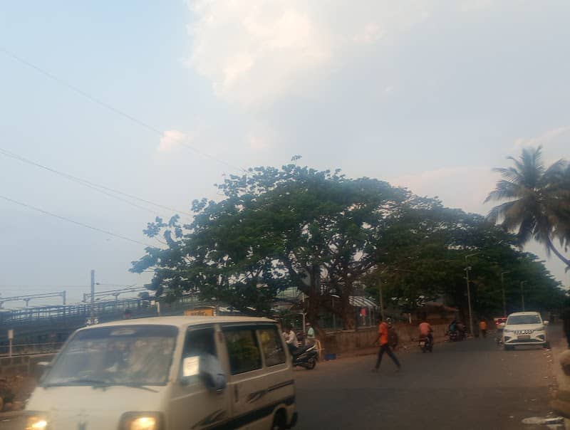 Opinion Poll Square - Image 1