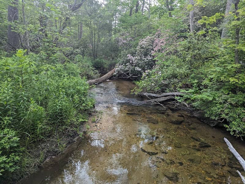 Pink Beds Trail - Image 2