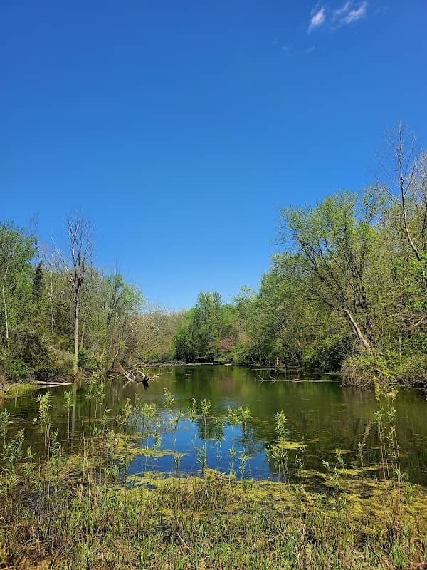 Ox Bow Park - Image 1