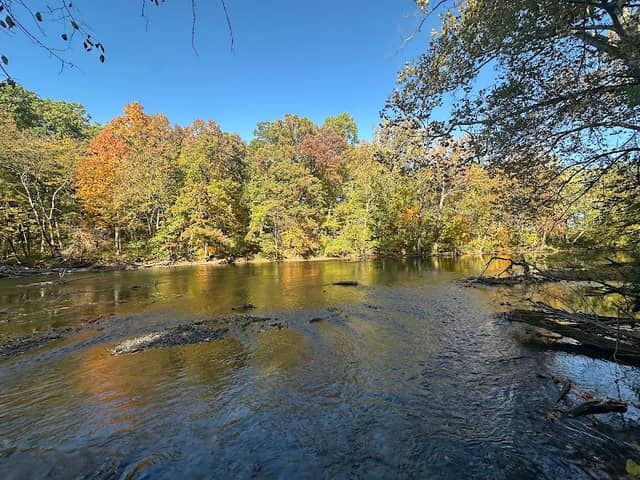 Ox Bow Park - Image 2