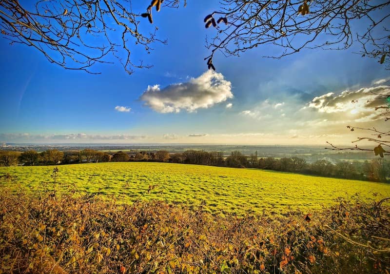 Beacon Field - Image 2