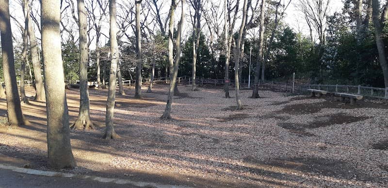 Oka Castle Ruins - Image 1