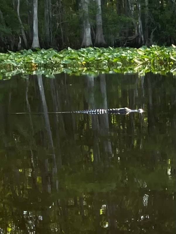 Nature Coast State Trail Parking - Image 2
