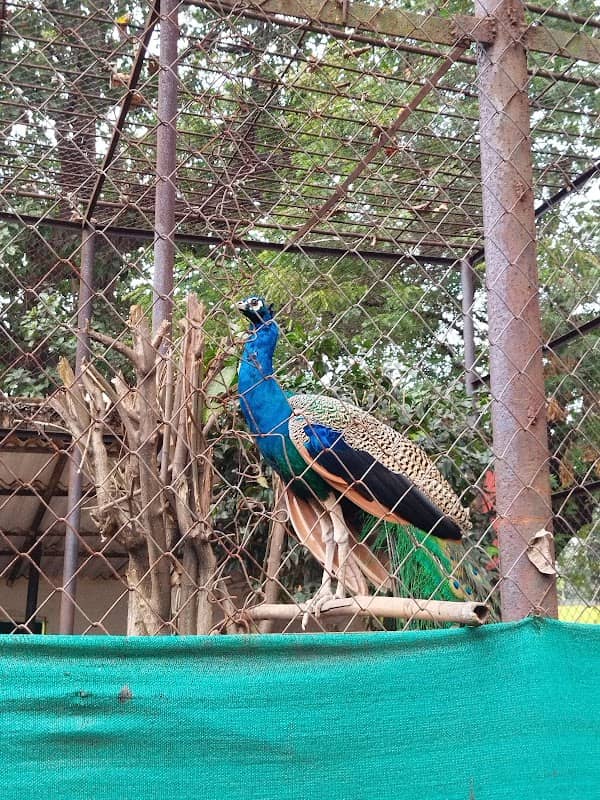 Central IG park - Image 1
