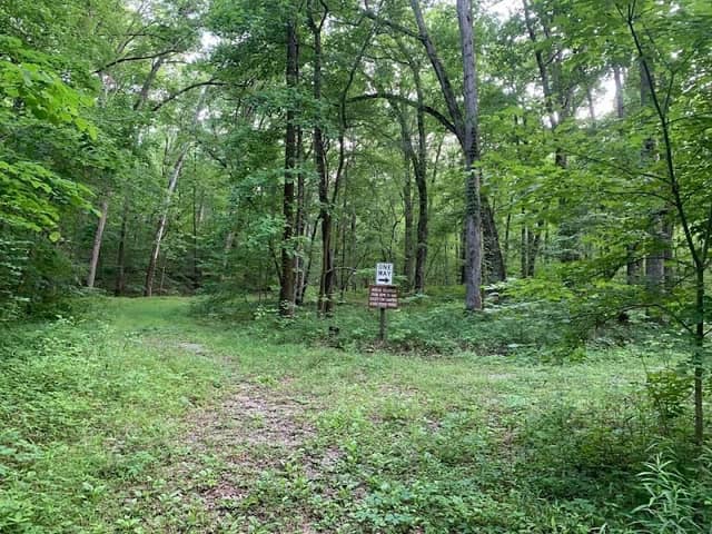 Quinn Springs - Hiwassee River Recreation Area - Image 2
