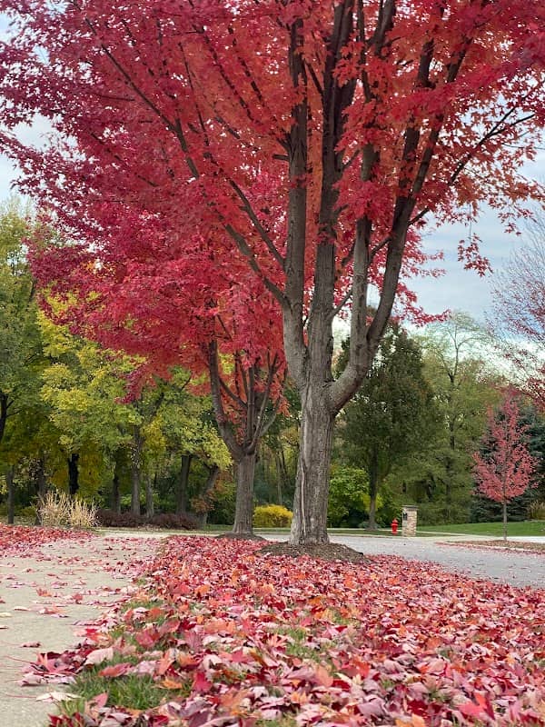 White Oaks Park - Image 1
