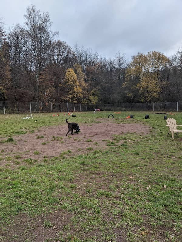 Smith Barracks Dog Park - Image 1