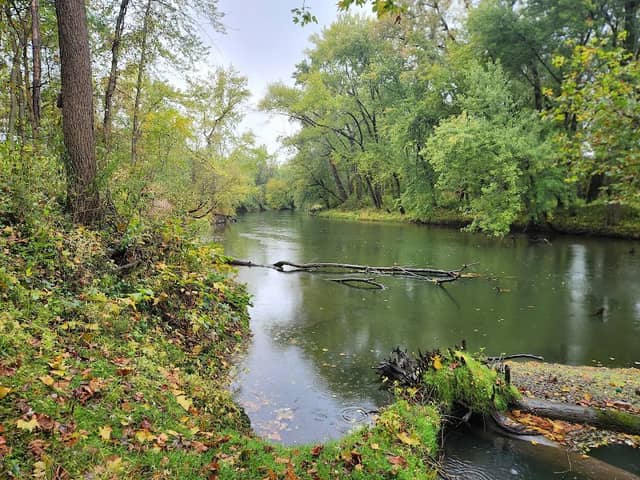 Warren Wildlife Area - Image 1